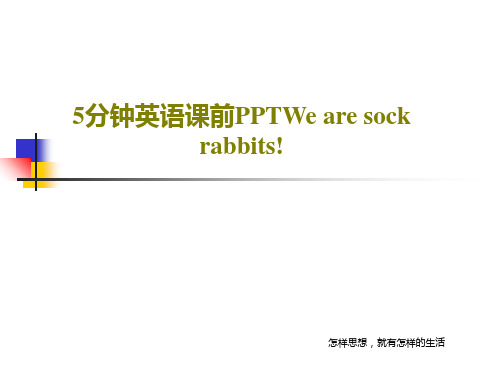 5分钟英语课前PPTWe are sock rabbits!共26页