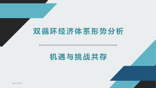 双循环经济体系形势分析(内循环的机遇与挑战)