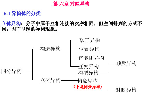 有机化学6对映异构