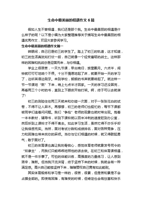 生命中最美丽的相遇作文6篇