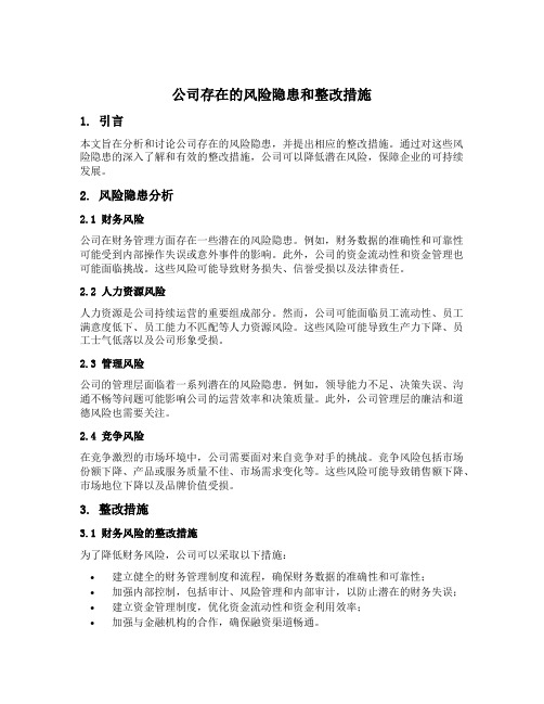 公司存在的风险隐患和整改措施