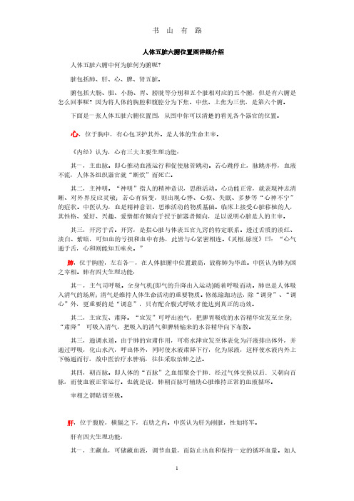 人体五脏六腑位置图详细介绍PDF.pdf