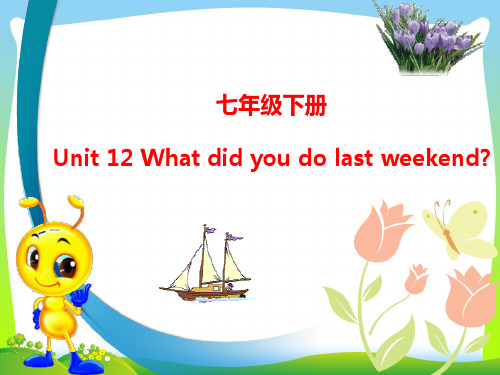 新人教版七年级英语下册复习课件Unit12 What did you do last  weekend(75张PPT).ppt