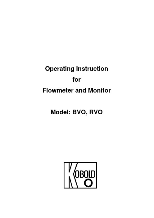 Kobold Messring GmbH BVO, RVO 流量计和监测仪操作说明书