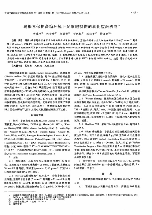 葛根素保护高糖环境下足细胞损伤的氧化应激机制