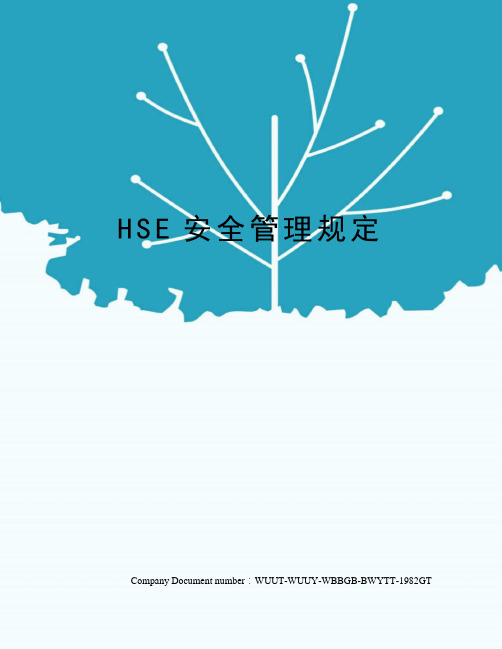 HSE安全管理规定