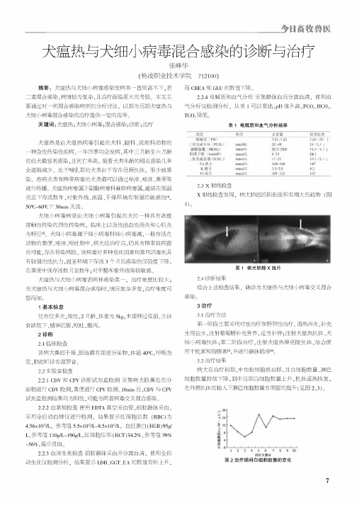 犬瘟热与犬细小病毒混合感染的诊断与治疗