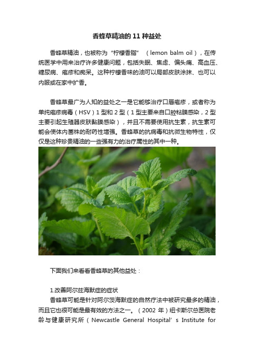 香蜂草精油的11种益处