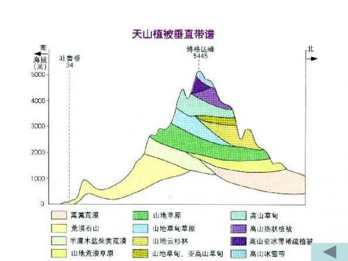 西北地区课件