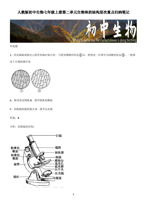 人教版初中生物七年级上册第二单元生物体的结构层次重点归纳笔记