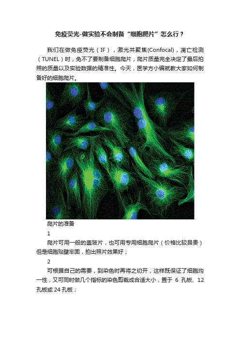 免疫荧光-做实验不会制备“细胞爬片”怎么行？