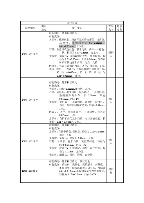 中煤光薄片分析结果报告