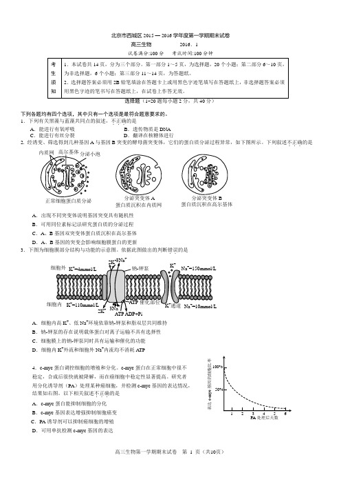 2015-2016西城区高三年级第一学期期末考试生物试题及答案