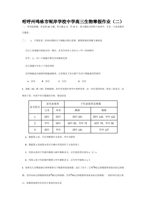 呢岸学校高三生物寒假作业02