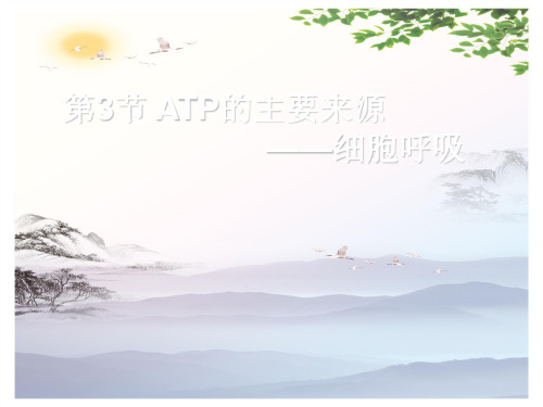 高中生物必修一第5章第3节 ATP的主要来源——细胞呼吸  课件(共60张PPT)[优秀课件][优秀课件]