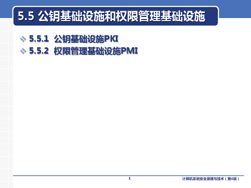 计算机系统安全原理与技术课件第5章第5节