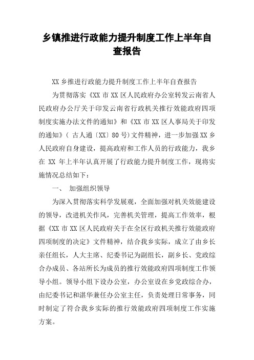 乡镇推进行政能力提升制度工作上半年自查报告