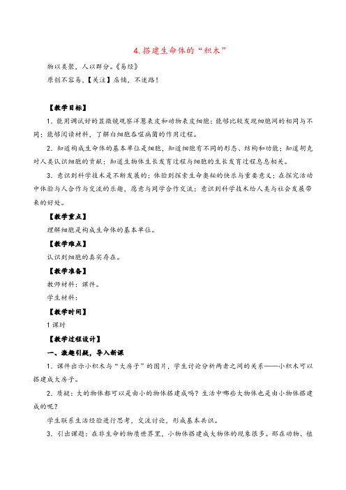 苏教版科学六年级上册搭建生命体的“积木” (2)教案与反思