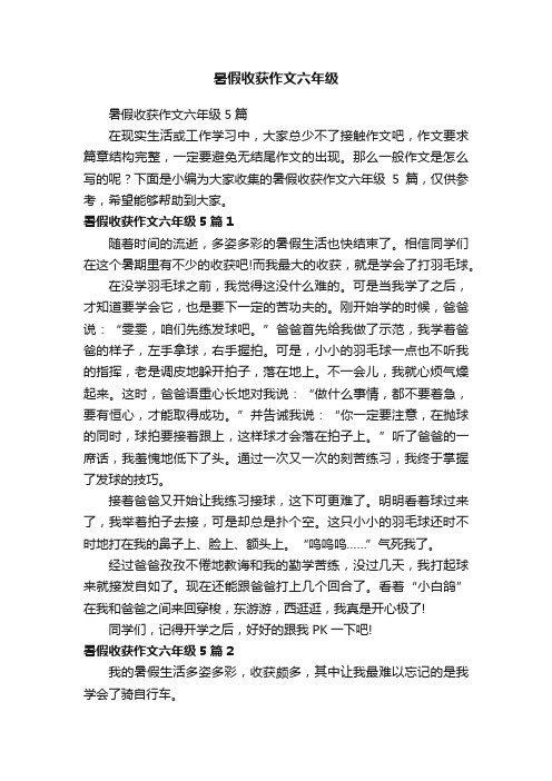 暑假收获作文六年级5篇