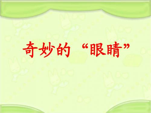 新教科版一年级语文下册《奇妙的“眼睛”》教学课件