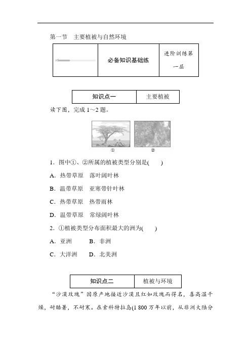 高中地理 新湘教版必修第一册同步训练 5.1 主要植被与自然环境