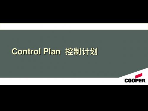 Control_Plan控制计划