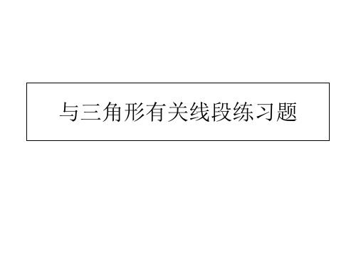 人教版八年级数学上册 11.1 与三角形有关线段练习题 课件(共33张PPT)