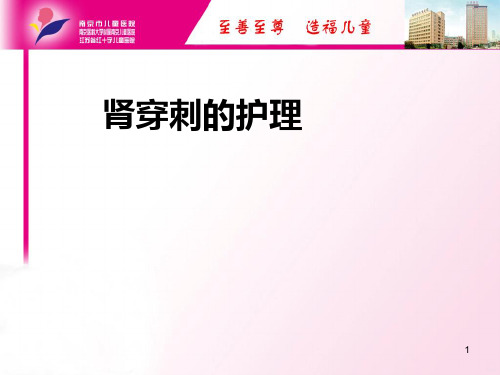 肾穿刺的护理PPT课件