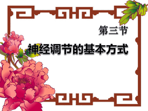 《神经调节的基本方式》人体生命活动的调节2-人教版七年级生物下册PPT课件