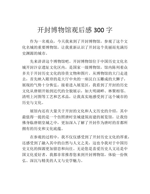 开封博物馆观后感300字