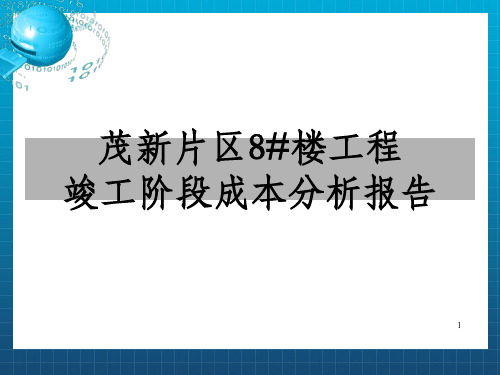 成本分析报告ppt模版课件_OK