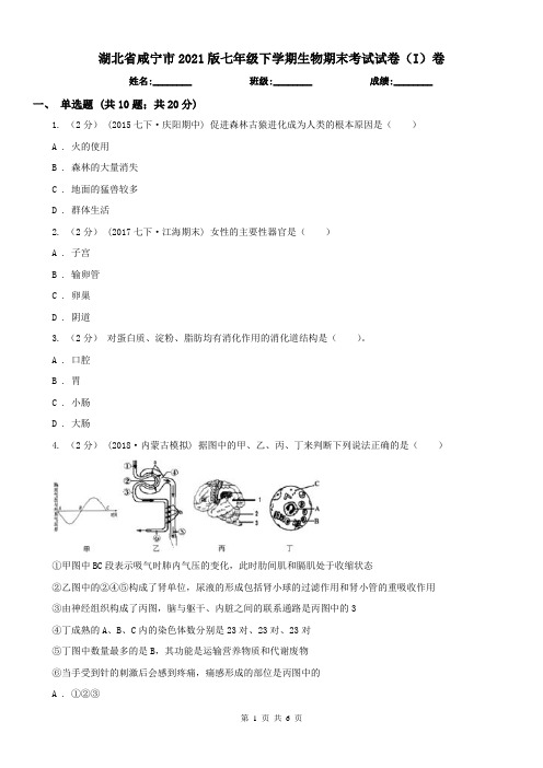 湖北省咸宁市2021版七年级下学期生物期末考试试卷(I)卷