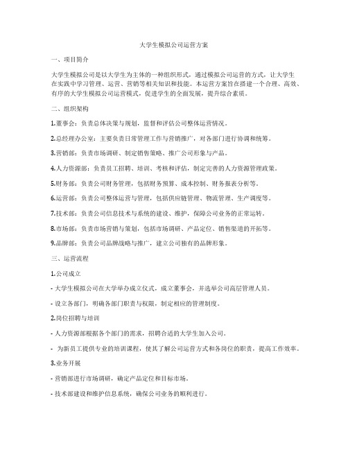 大学生模拟公司运营方案