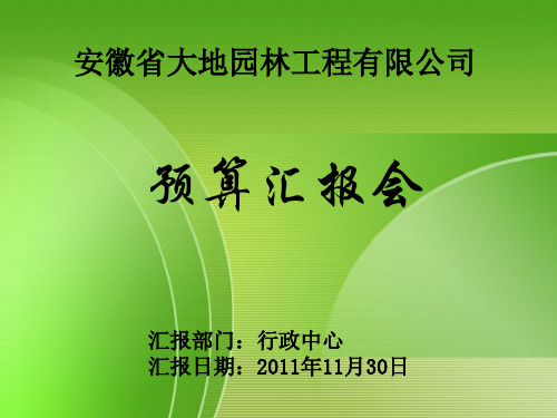 预算与实际支出对比表样表