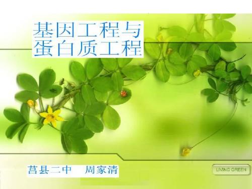 基因工程和蛋白质工程-高中三年级生物课件