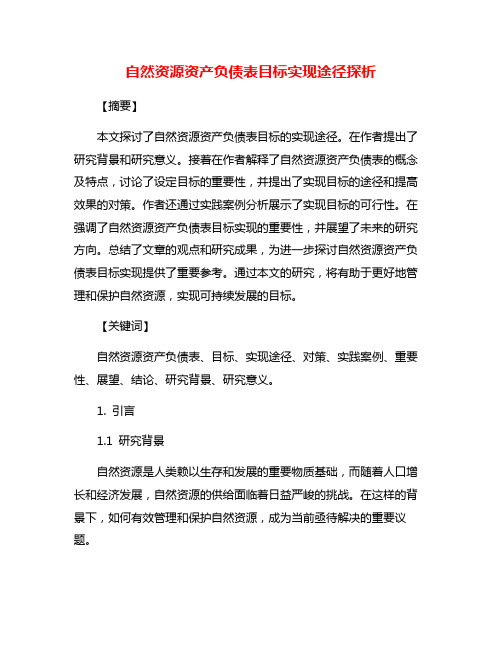 自然资源资产负债表目标实现途径探析