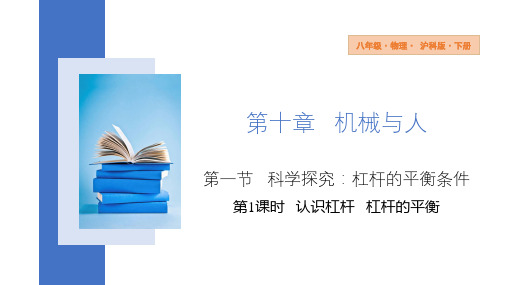 10.1科学探究：杠杆平衡条件  认识杠杆 杠杆的平衡 课件 