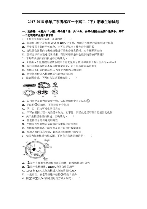 广东省湛江一中2017-2018学年高二下学期期末生物试卷 Word版含解析