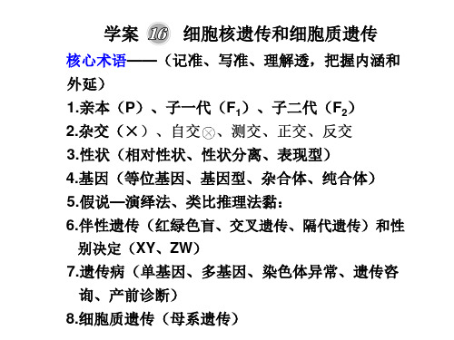 细胞核遗传和细胞质遗传.ppt