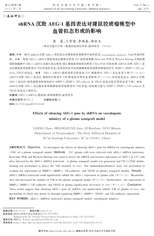 shRNA沉默AEG-1基因表达对裸鼠胶质瘤模型中血管拟态形成的影响