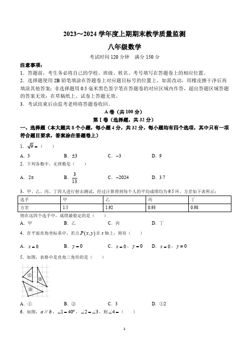 四川省成都市简阳市2023-2024学年八年级上学期期末数学试题(含答案)