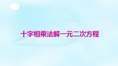 新版九年级数学专题教案：十字相乘法解一元二次方程