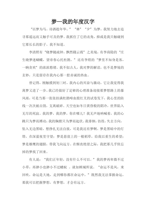 梦—我的年度汉字