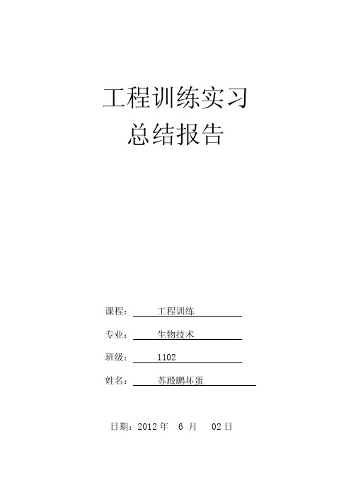 西南科技大学工程训练实习总结报告