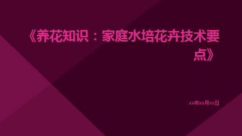 养花知识：家庭水培花卉技术要点