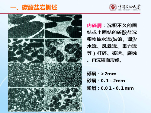 碳酸盐岩石类学例