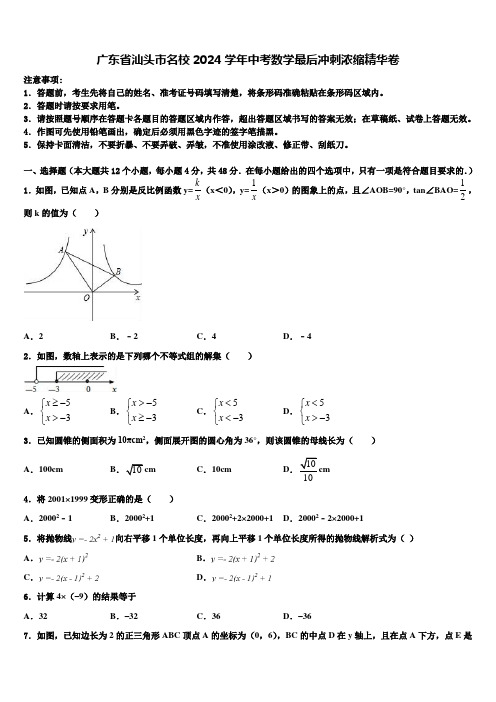 广东省汕头市名校2024届中考数学最后冲刺浓缩精华卷含解析