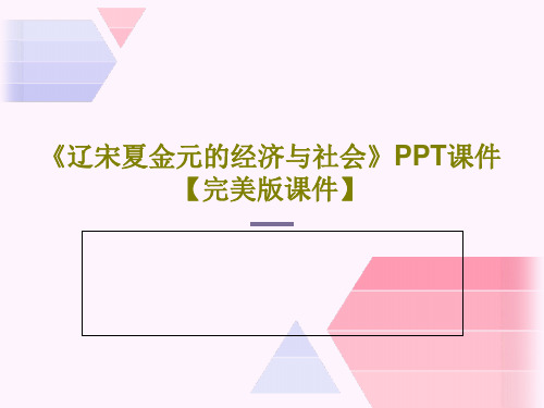 《辽宋夏金元的经济与社会》PPT课件【完美版课件】共49页