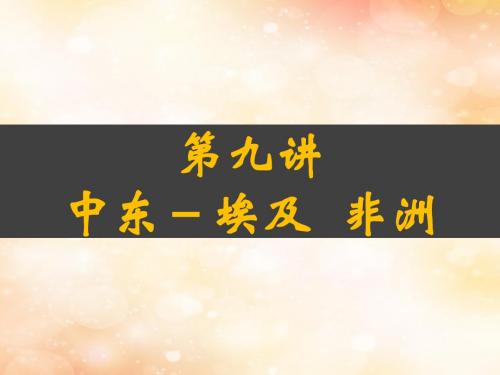 2019版高考地理一轮复习 区域地理 第二单元 世界地理 第9讲 中东-埃及 非洲上课