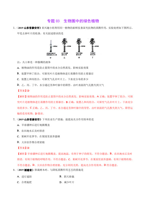 专题03 生物圈中的绿色植物(第02期)-2019年中考真题生物试题分类汇编(解析版)